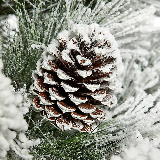 Mountain Pine Scented Candles